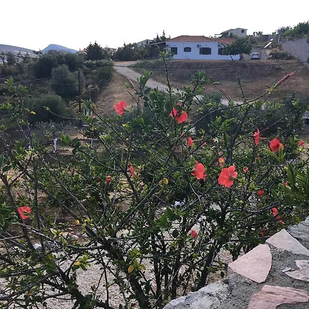 Stone House * 에르미오니